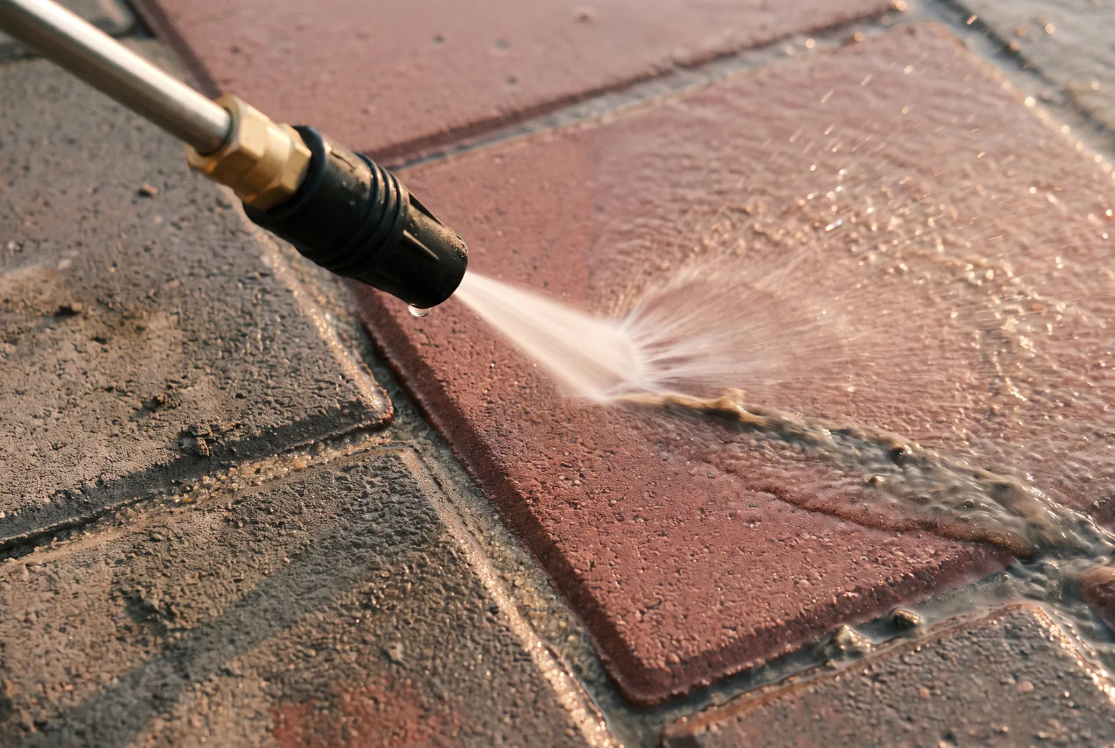 Paver cleaning in Tampa Bay: a clay brick paver washed clean beside soiled pavers