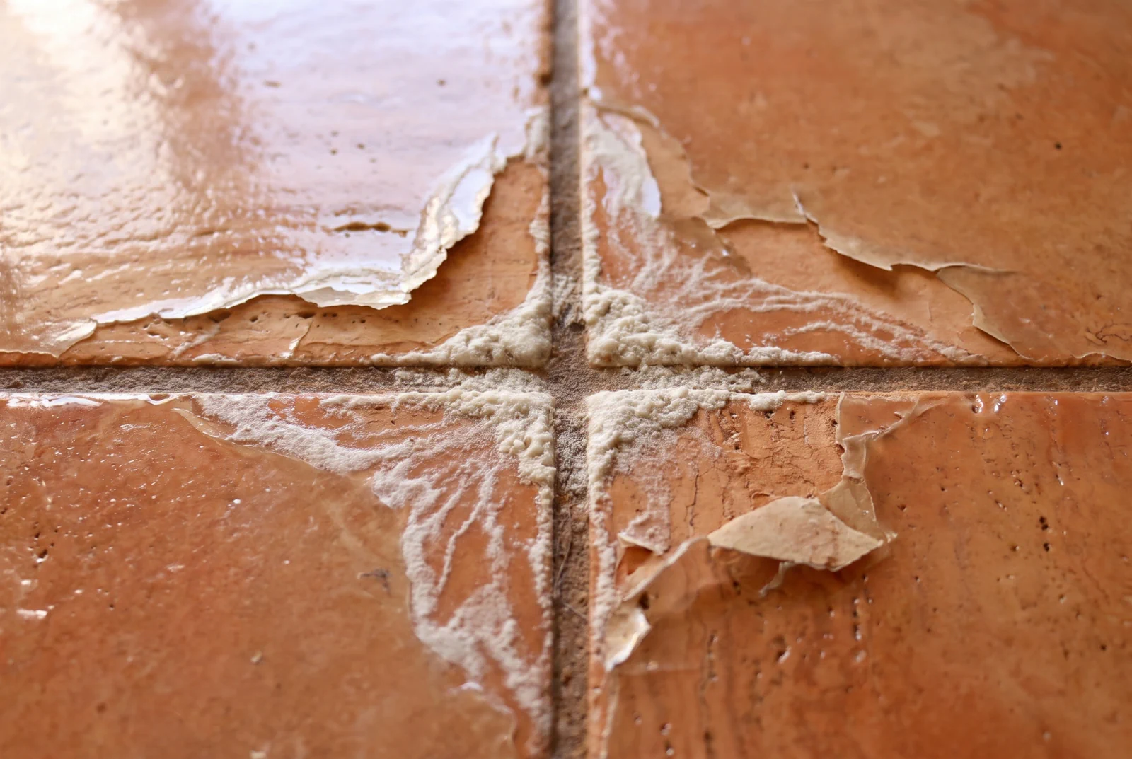White chalky efflorescence on Saltillo tile and grout in a Florida home